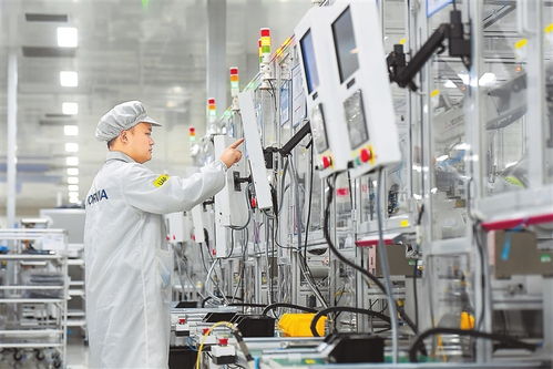 綠色智能 圖自動(dòng)識(shí)別技術(shù)在可持續(xù)發(fā)展中的創(chuàng)新應(yīng)用與開發(fā)